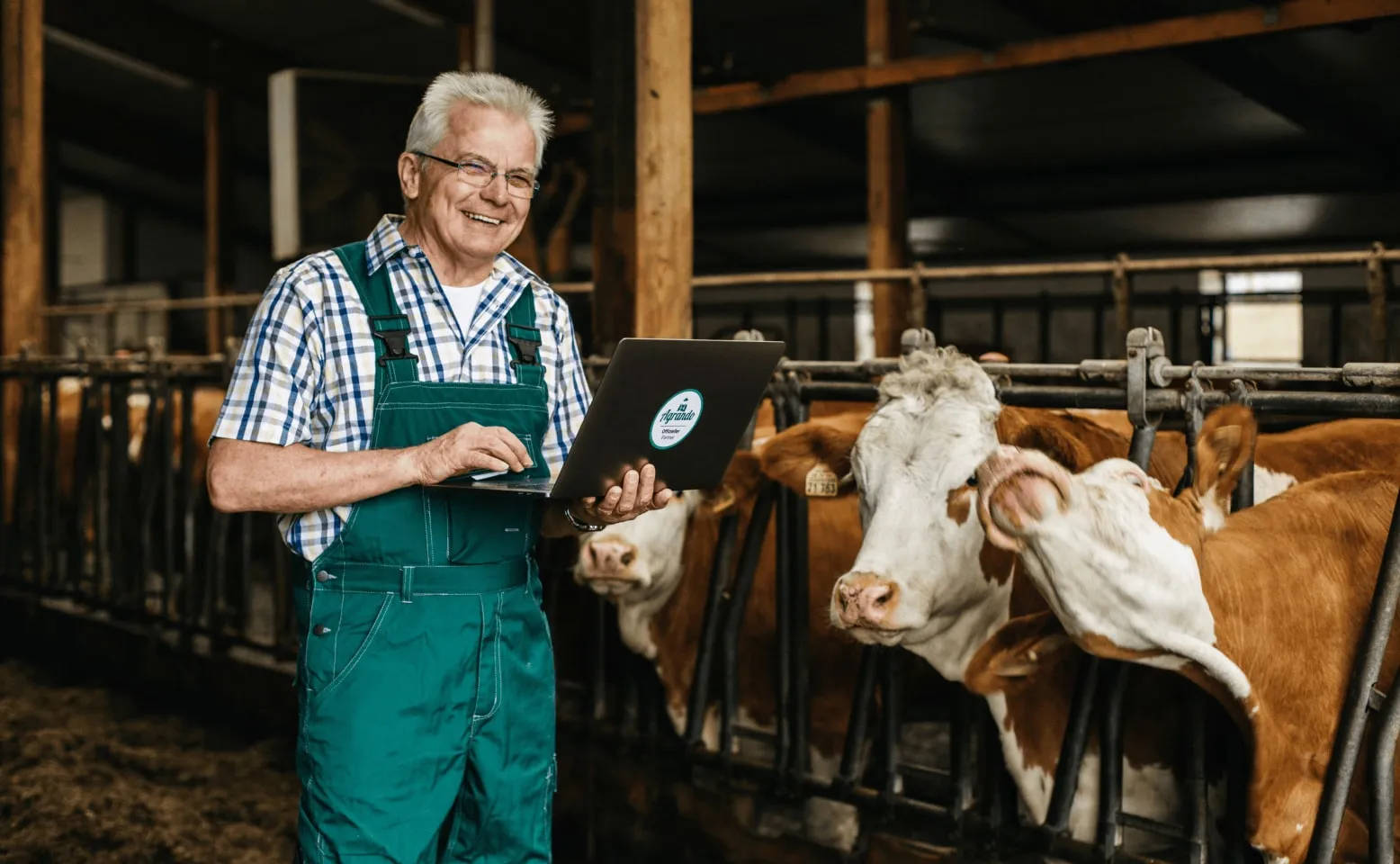 Agrando: Digital agricultural trading for 20,000+ farmers and traders.